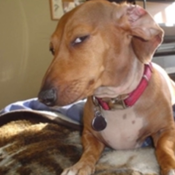 Meet your Posher, danial - Picture 1 of 1